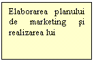 Text Box: Elaborarea planului de marketing si realizarea lui